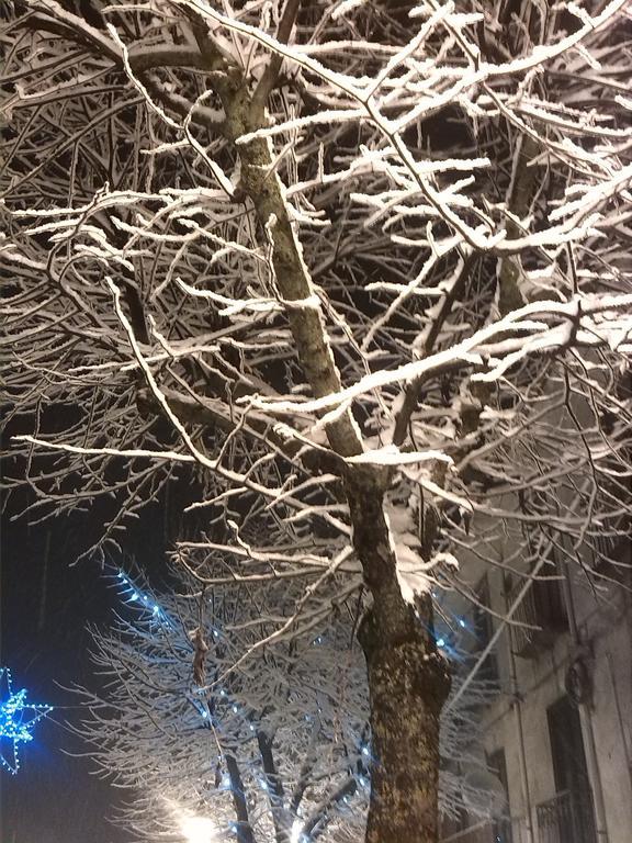 La Dodicesima Notte